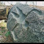 Těžko říct, co to je....?