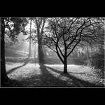 Jiráskův park za východu slunce