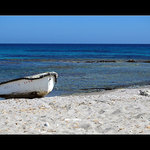 TAM NĚKDE V ZÁLIVU