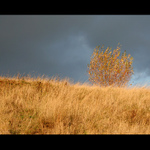 malý kousek ze zlatého království...