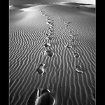 ~ Poslední ohlédnutí ~