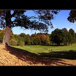Park