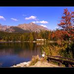 Pleso