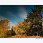 -= Praha 13 Vidly =-