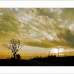 Horizont