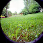 kolotoč křivotoč holkoaklukotoč