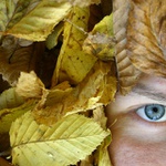 Podzimní probuzení II