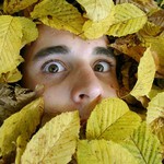 Podzimní probuzení III