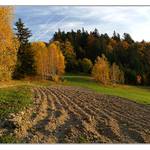 Podzimní podvečer.