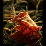 Dnes ešte mráz prehral...