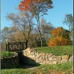 \"colours of autumn\" II