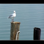 Sedím si na ..., a je mi dobre :)