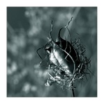 ...spletitosti života...