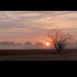 ...v červánkovém závoji...