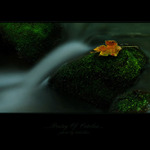 ...poetry of october...