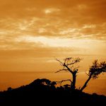 de tranquillitate animi