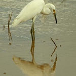 Jsem to já, nejsem to já ?