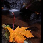 ..listopad se blíží