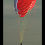 volný jako pták...