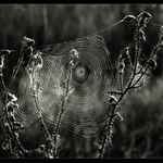 K O N K U R E N C I A