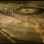 p r i p r a v e n á. . .