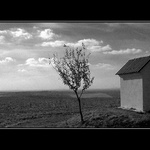 --KAPLE--