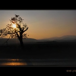 END of DAY