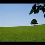 ...Solitér V...