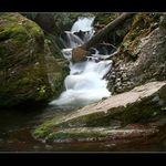 ...Bílá Opava III...