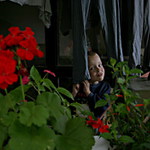 pověz, jestli víš, anglicky jak se řekne skrýš