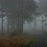 ... a za zatáčkou to už uvidíte!