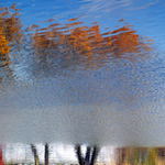 lampiónový průvod