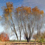 Táboráku plápolej, táboráku hoř!