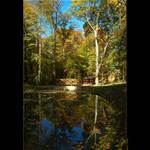 lesík a jeho barvičky