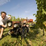 Vinobranie Bořetice 2006