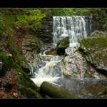 Černohorský potok V.