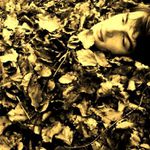 dead leaves and dirty ground