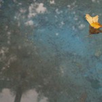 Můžeš tančit na vodní hladině...