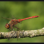 ...lovec a kořist...