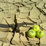 Traja bratia a ruka zlodejka!