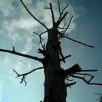 Strom