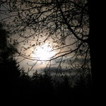 Nocni I