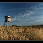 Mám to pod dohledem