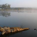 Ranni mlha u rybnika II