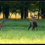 Nebudu to opakovat !!!