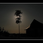 V Měsíční záři