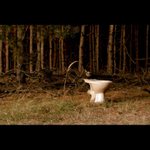 prvé lesné wc-alebo luxus po záhorácky:)