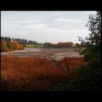 Vypuštěný rybník