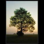 Luční probouzení...