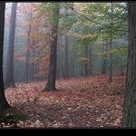 podzimní nálady (1)